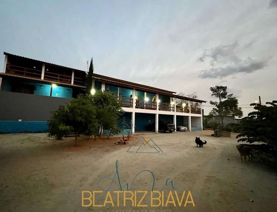 clebia 1