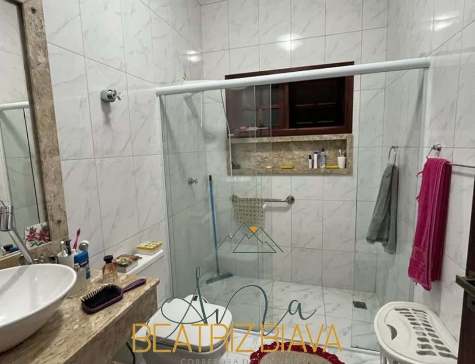 clebia 11