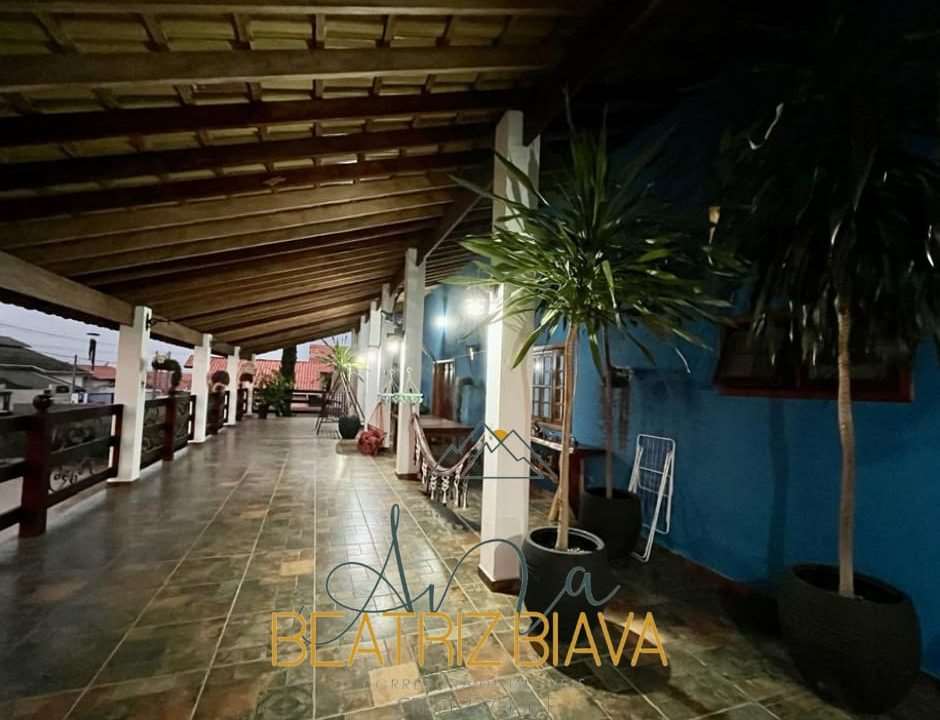 clebia 6