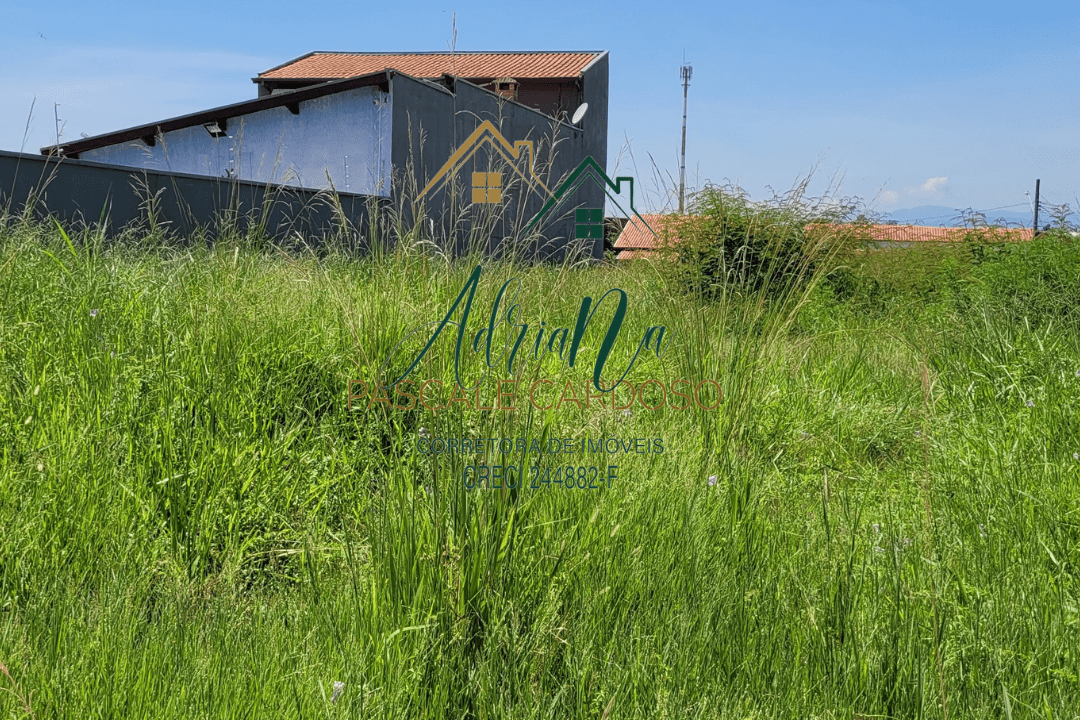 7_20240316_162216_0006