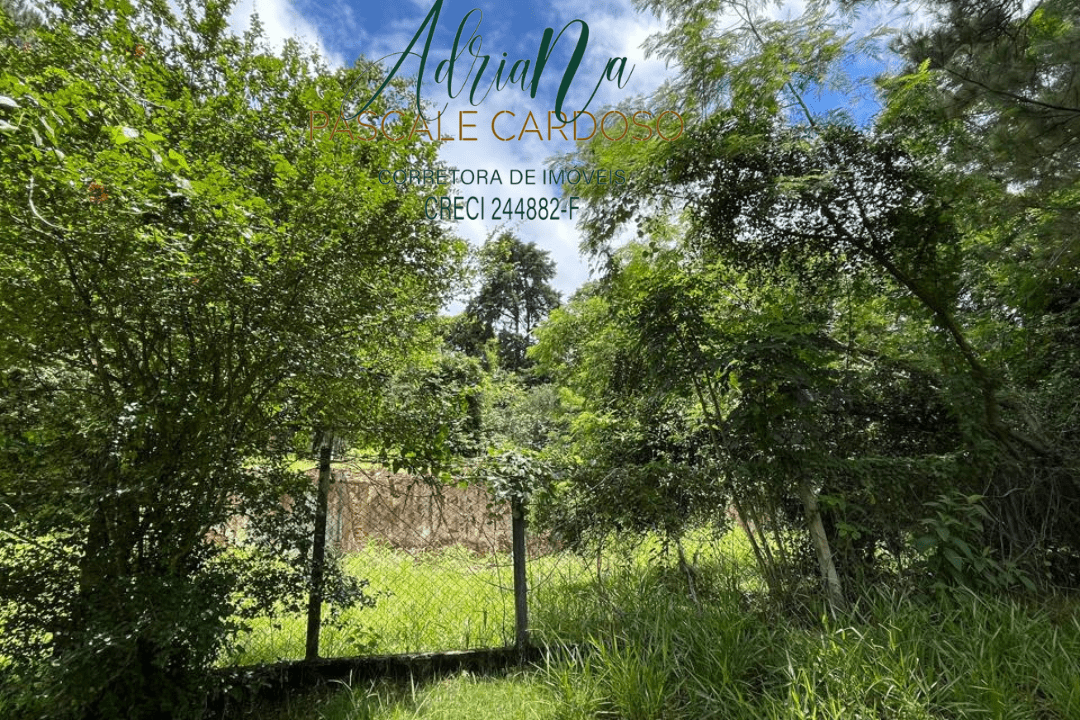 10_20250115_123425_0009