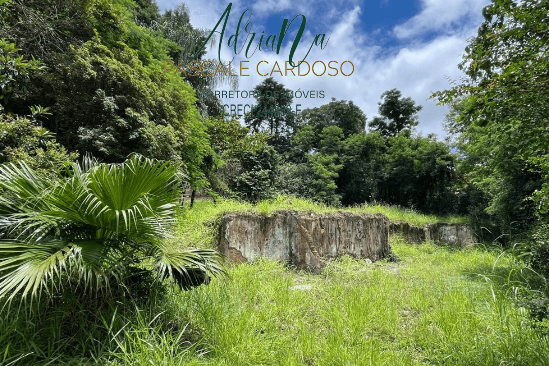 11_20250115_123425_0010