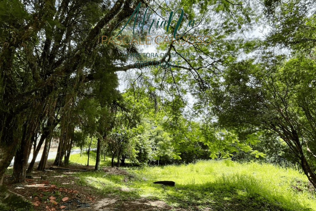 12_20250115_123425_0011