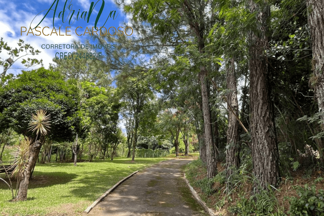 13_20250115_123425_0012