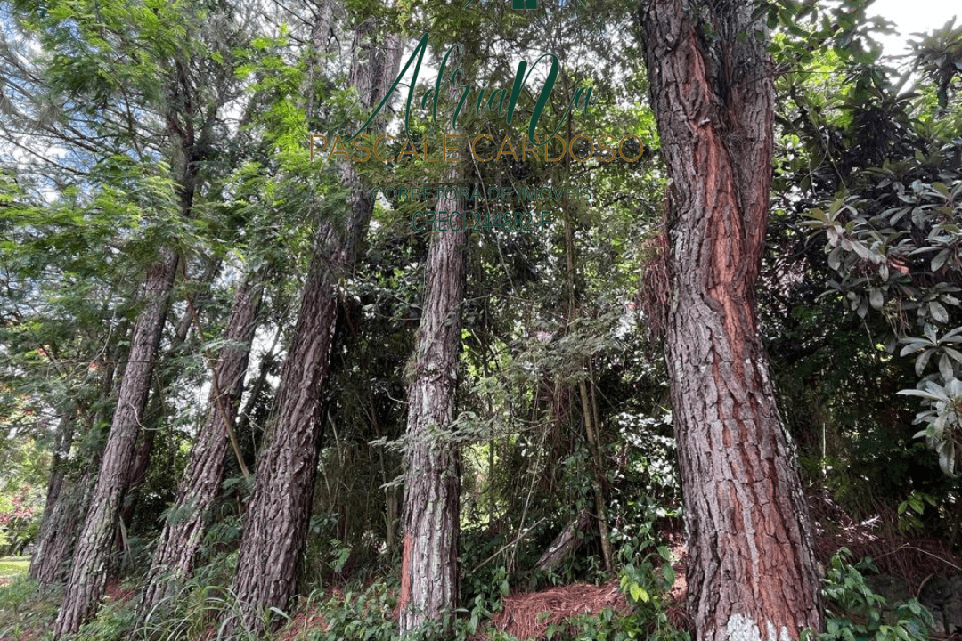 14_20250115_123425_0013