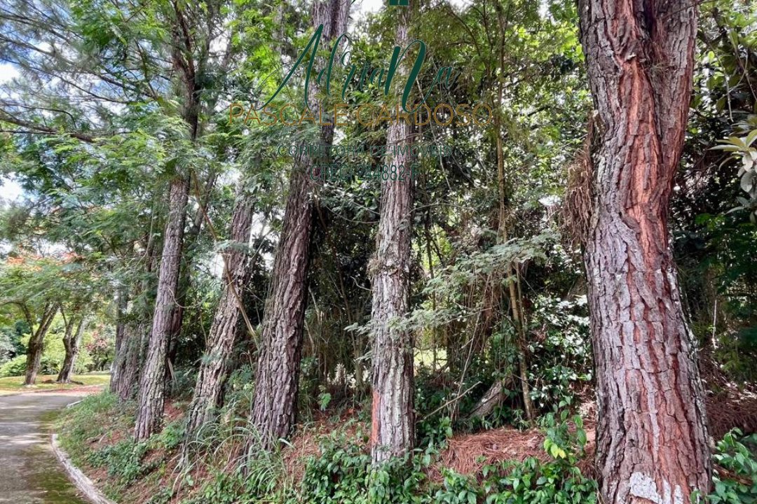 15_20250115_123425_0014