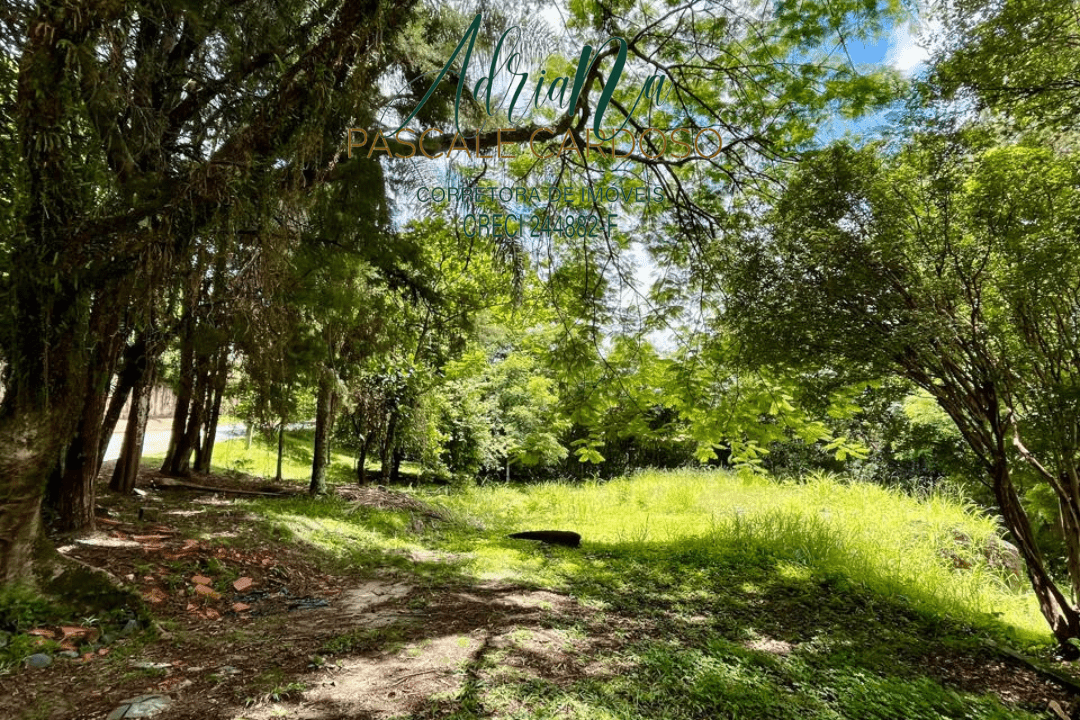 16_20250115_123425_0015