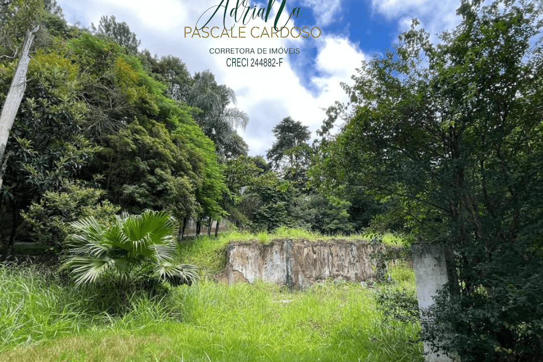 17_20250115_123425_0016