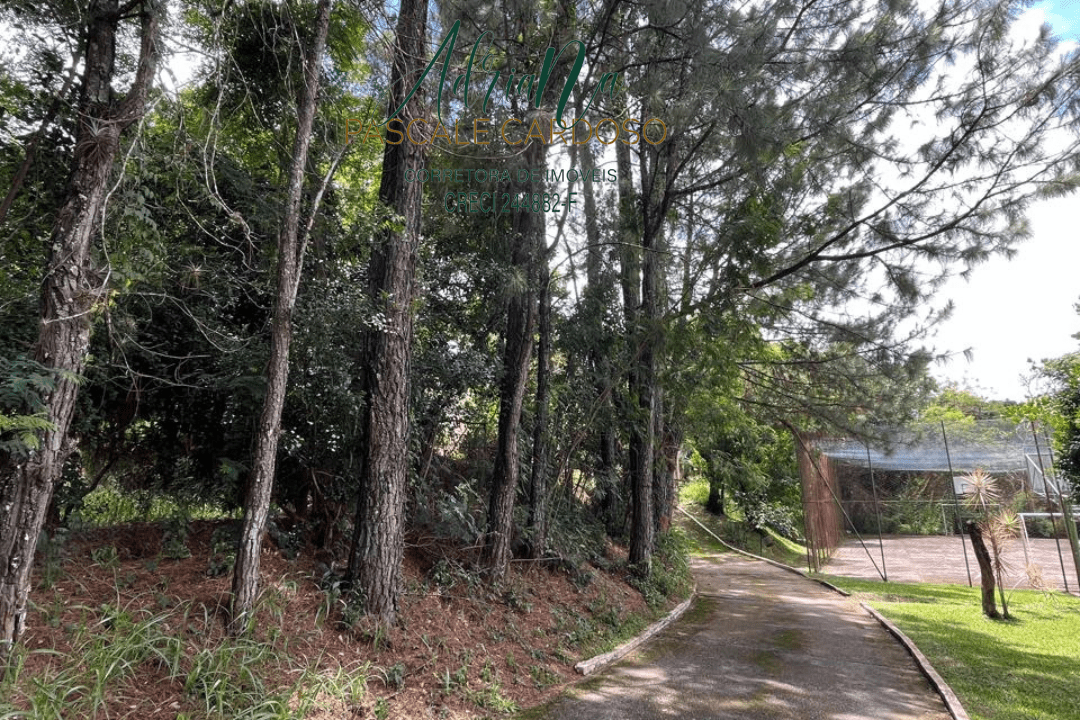 18_20250115_123426_0017