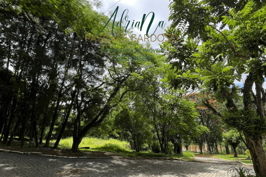 2_20250115_123425_0001