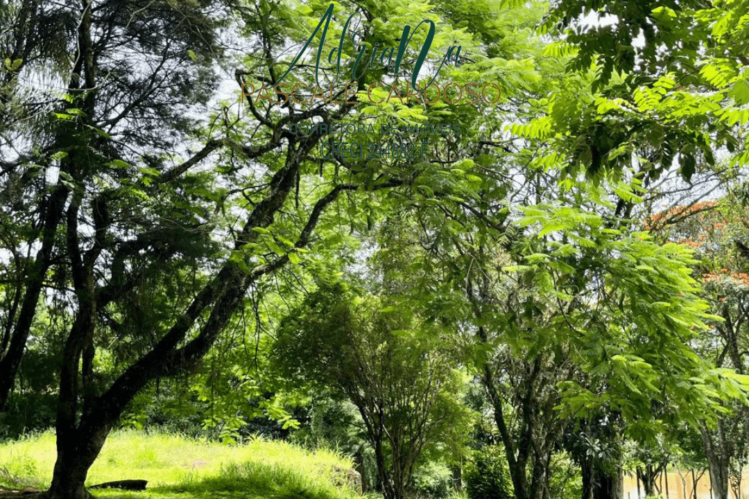 3_20250115_123425_0002