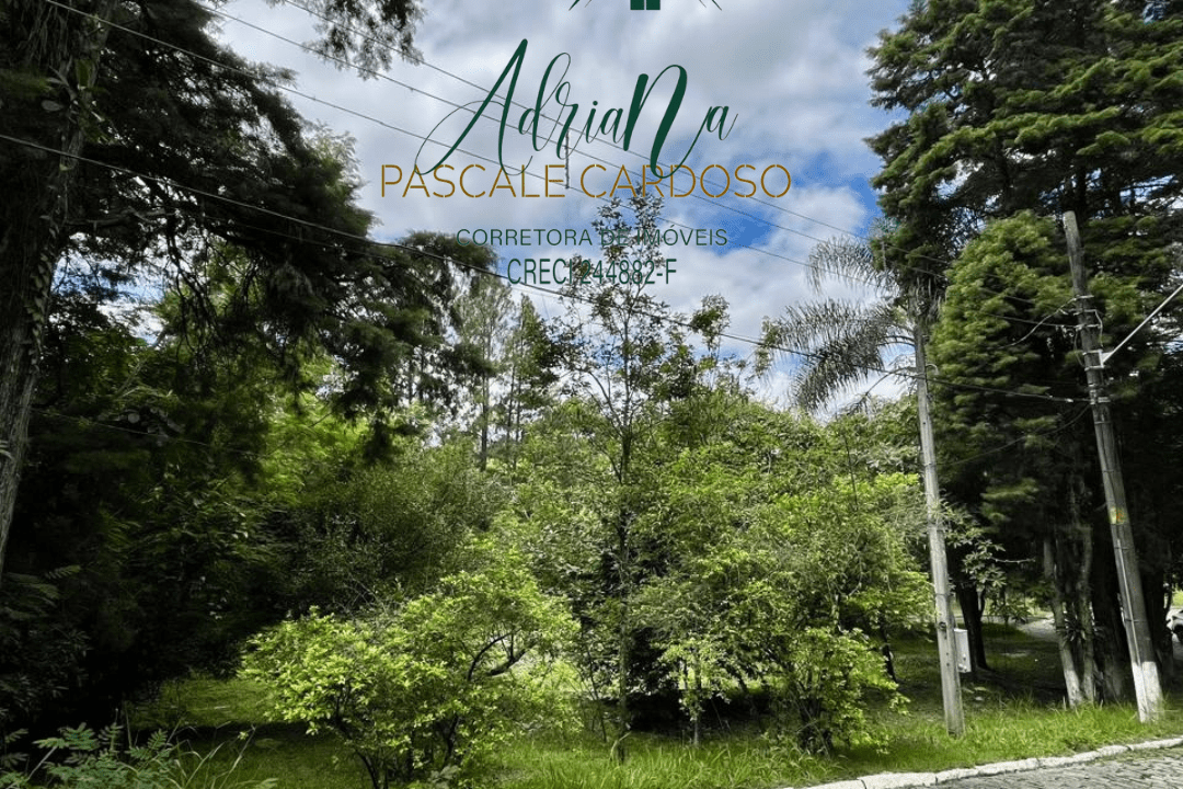 4_20250115_123425_0003