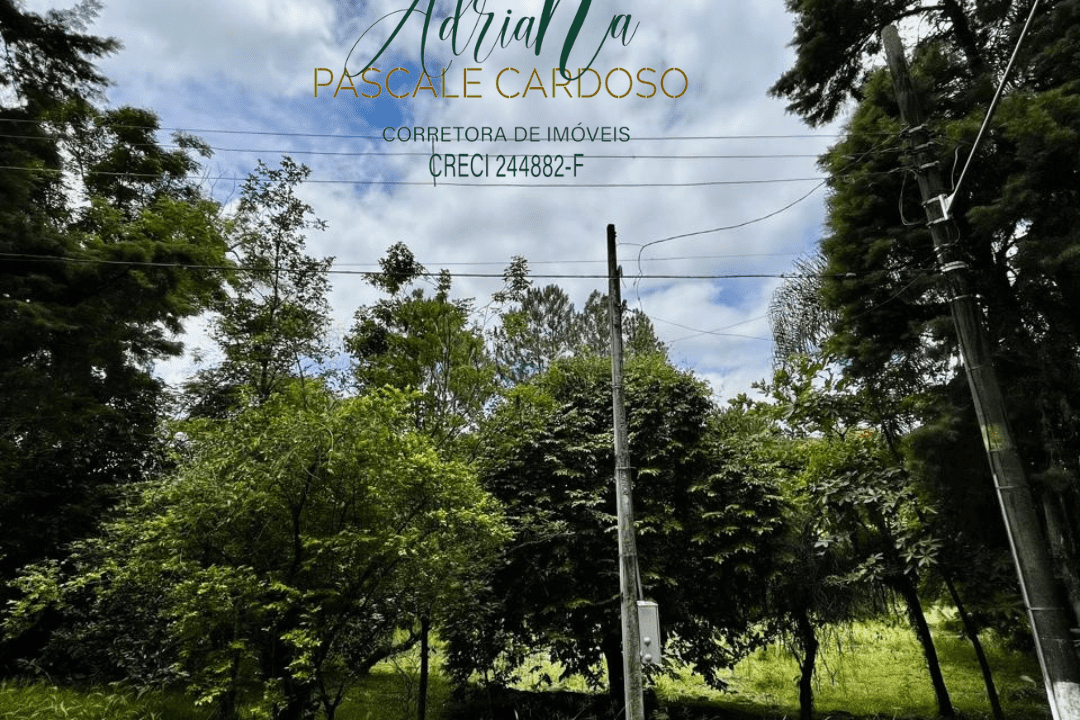 5_20250115_123425_0004