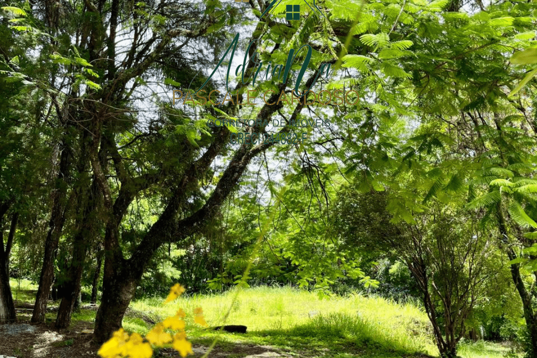 6_20250115_123425_0005