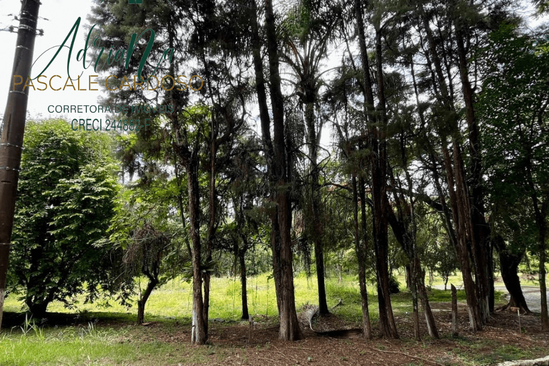 7_20250115_123425_0006