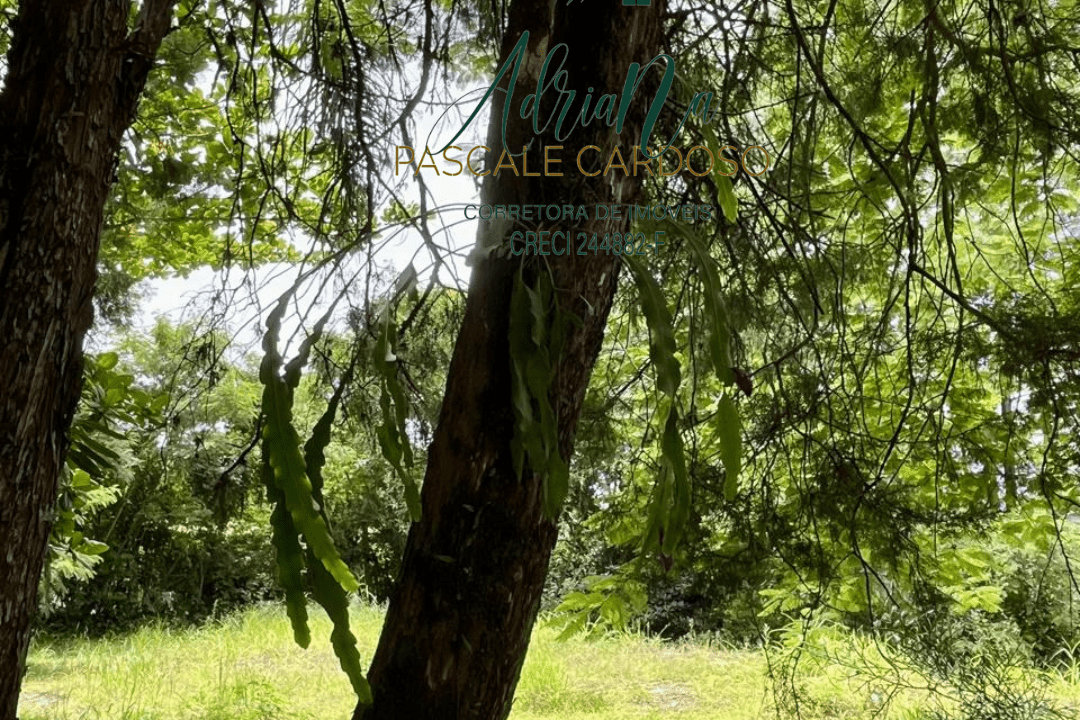 8_20250115_123425_0007