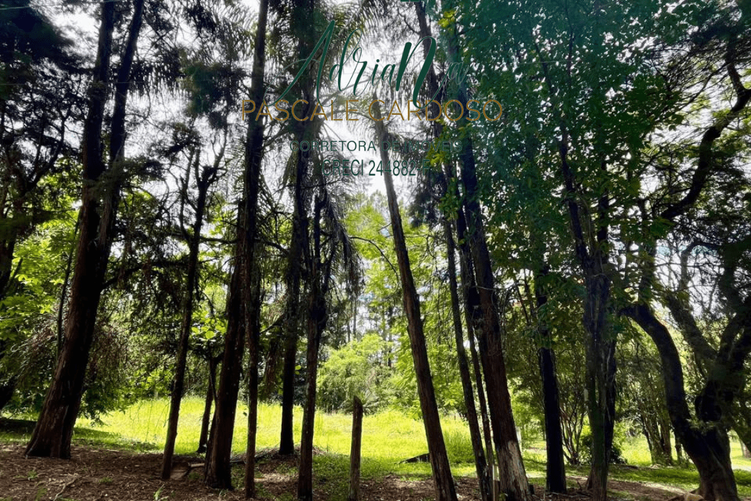 9_20250115_123425_0008