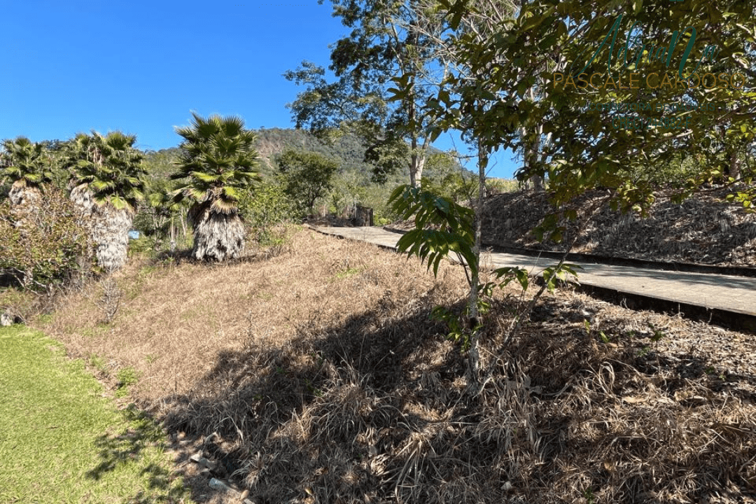 15_20250711_154525_0014