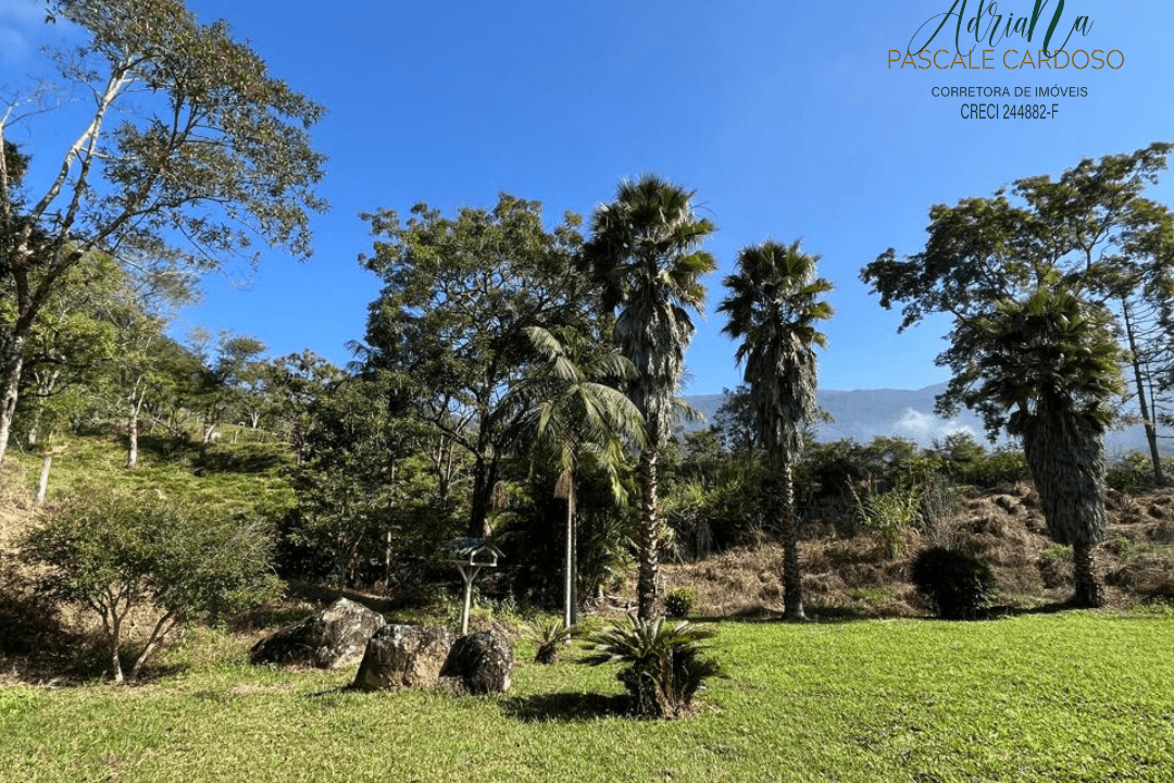 38_20250711_154526_0037