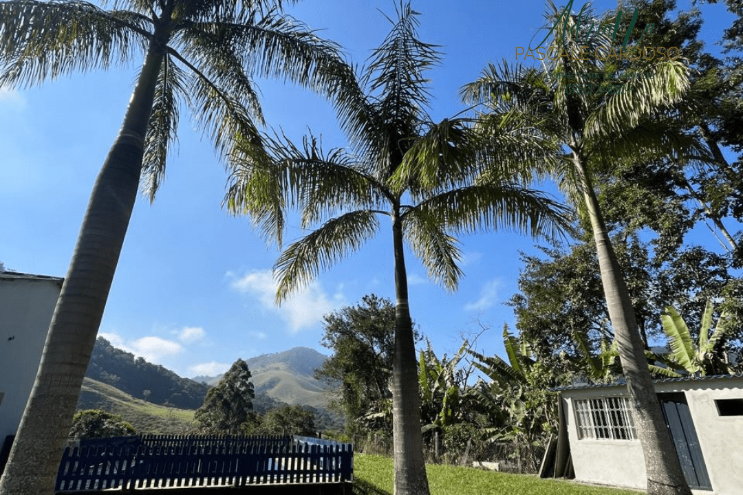 39_20250711_154526_0038