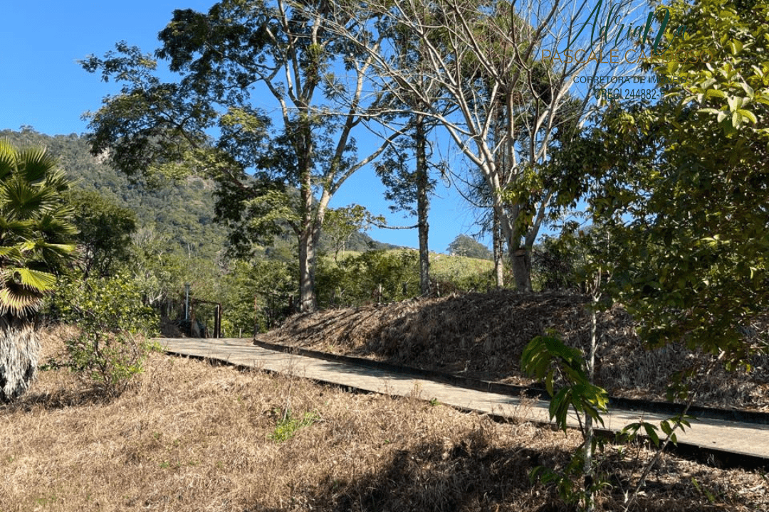 42_20250711_154526_0041