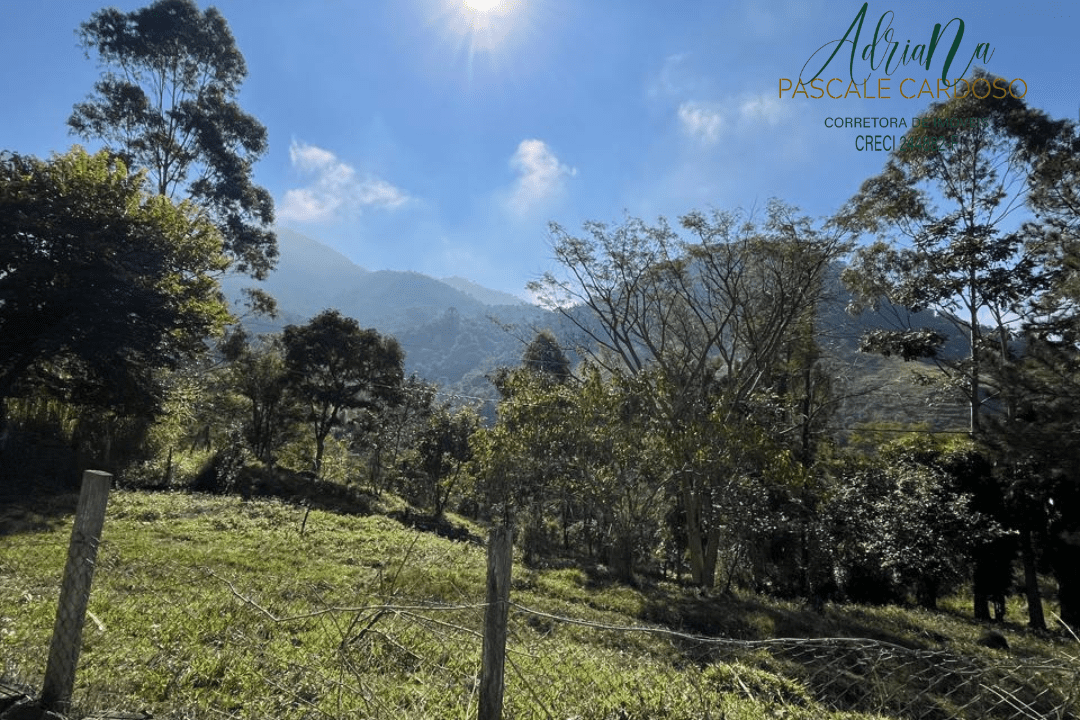 43_20250711_154526_0042