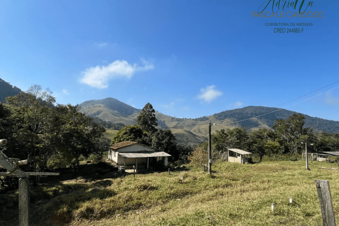 44_20250711_154526_0043