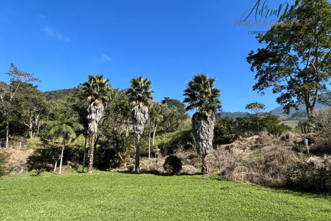 48_20250711_154527_0047