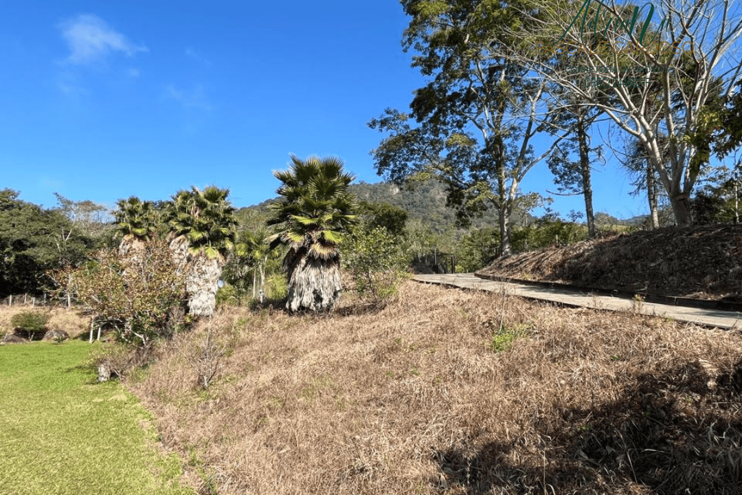 49_20250711_154527_0048