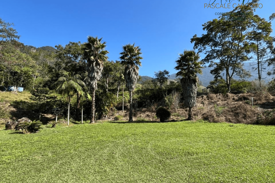 9_20250711_154525_0008