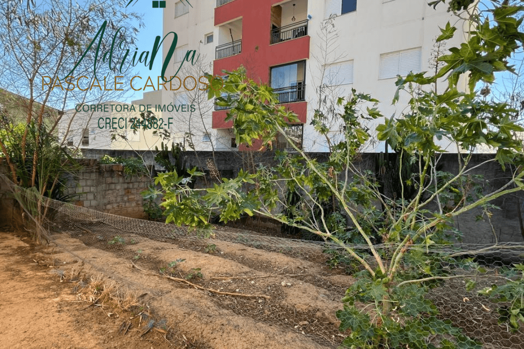 2_20250918_181128_0001