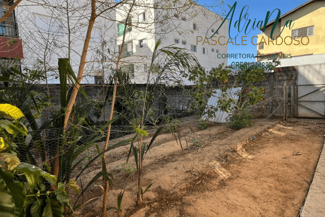 6_20250918_181128_0005