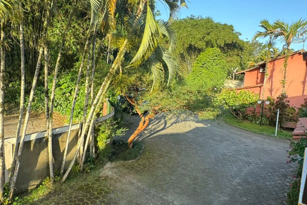 Design sem nome - 11