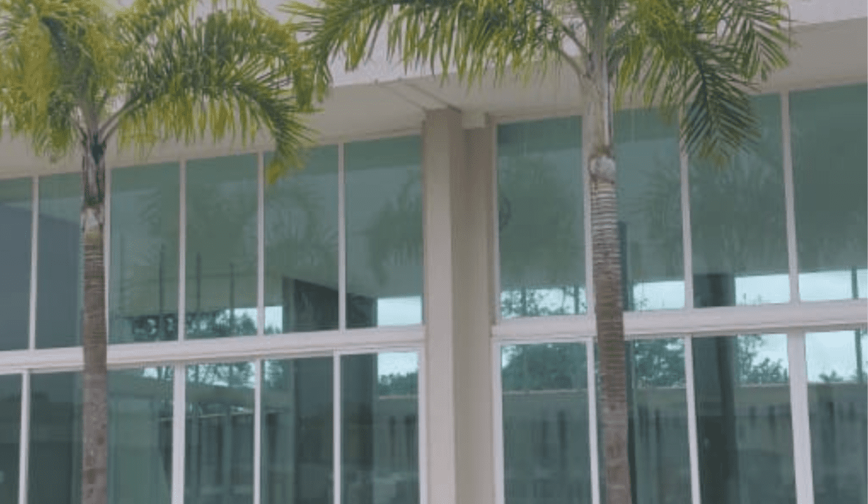 Design sem nome - 10