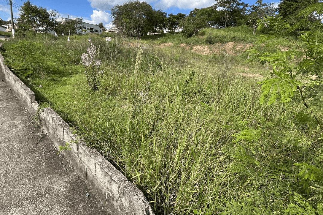 Untitled design - 3
