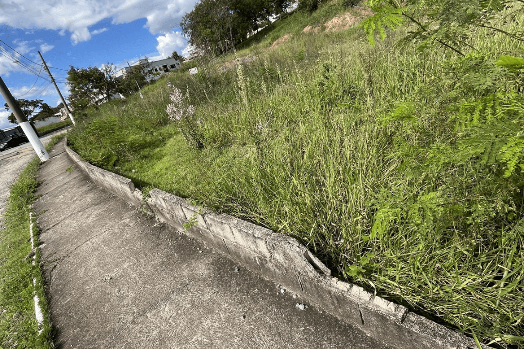 Untitled design - 5